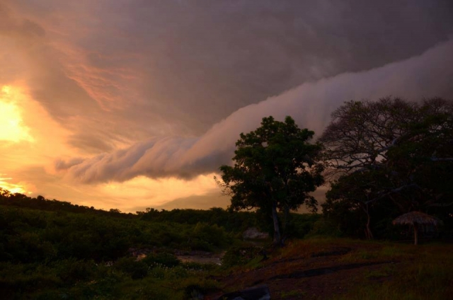 Naturaleza y atardecer
